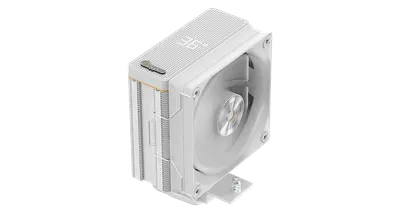 Ocypus Iota A40