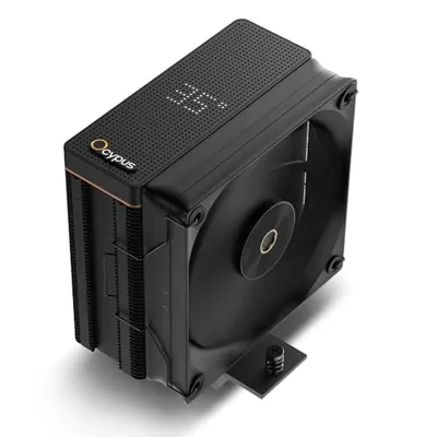 Ocypus Iota A40