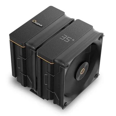 Ocypus Iota A62