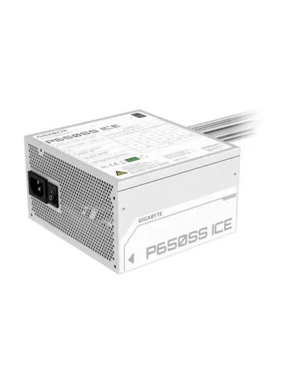 Gigabyte P660SS