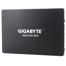 Gigabyte GP-GSTFS31120GNTD