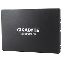 Gigabyte GP-GSTFS31480GNTD