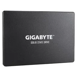 Gigabyte GP-GSTFS31100TNTD