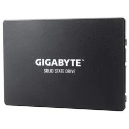 Gigabyte GP-GSTFS31240GNTD